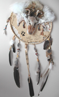 shield coyote healing shamanic medicine